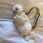 tさま専用ページ