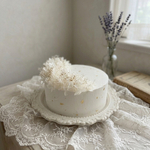 ⋆⸜ 人気商品 ⸝⋆ white cake  イミテーションケーキ クレイケーキ