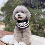 カメオリボンのクラシカルプリーツケープ｜犬用・猫用｜誕生日・記念日フォト・撮影会