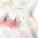  かすみ草のピアス／イヤリング       