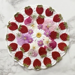 【押しフルーツ】いちごとビオラセット【押し花】