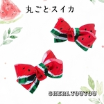 【New】丸ごとスイカ🍉