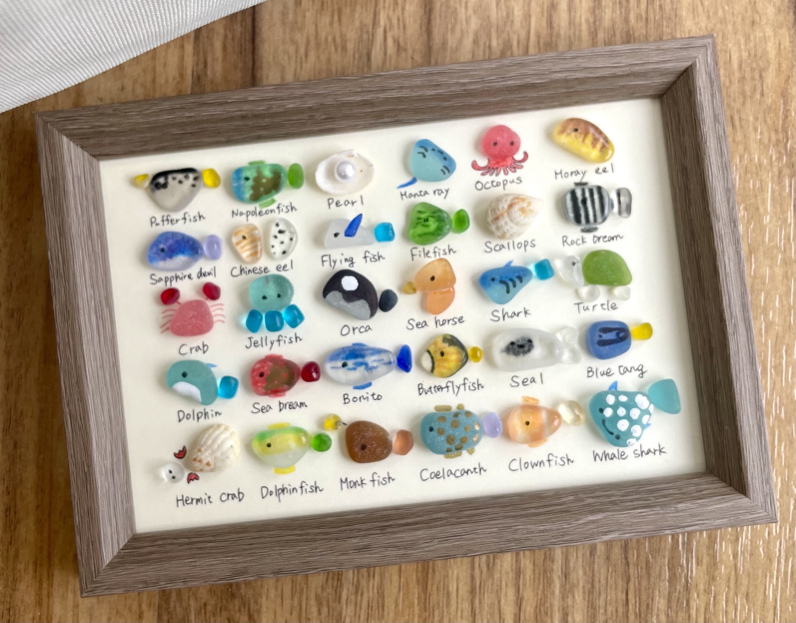 30種の鳥さん図鑑🐧🦜シーグラスアート☆No.92 図鑑 鳥 置物 欧米 A5