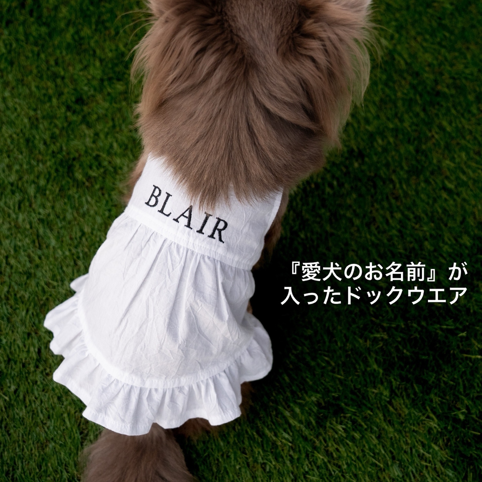 なつ　ハンドメイド犬服　ワンピース 犬用品 なつ様専用 ハンドメイド犬服 ワンピース