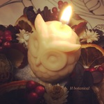 ふくろうのsoycandle