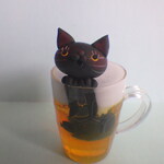 ビールで乾杯にゃんこ