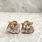 乗せられ猫ピアス