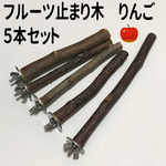 フルーツ止まり木 りんご　5本セット