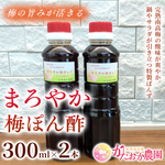 お試し価格‼️ ★新商品★ 梅ぽんず(こんぶ風味)300ml×2本