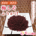 大人気‼️【無添加・無着色】『梅しそふりかけ120g』＋20g増量‼️‼️