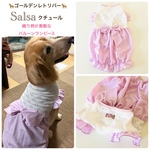 大型犬　バルーン　🛒Salsa
