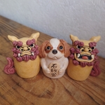 Withシーサー★キャバリア