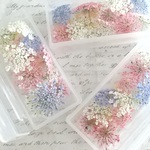 【限定】R20) レースフラワー  ミックス　ドライフラワー　小花　レジン花材