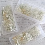 【限定】R20) レースフラワー  ホワイト　ドライフラワー　小花　レジン花材