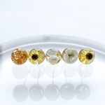 【数量限定🌻】小粒 小ぶり スタッドピアス イヤリング 花 イエロー 淡水パール プレゼント ラッピング クリア 透明感 金属アレルギー対応 仕事 オフィス カジュアル 夏 ひまわり