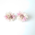 『夢の花 裏』〜恋と愛〜