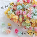 キャンディ✡かすみ草◆ドライフラワー　花材