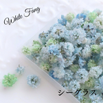 シーグラス✡かすみ草◆ドライフラワー