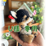 【Reserved】テディベア【U様専用】
