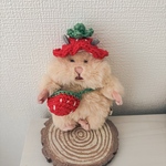 🍓つみたていちごのお出かけセット