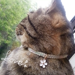  猫ちゃんのお肌に優しい首輪＊ミサンガタイプ＊オーガニックコットン☆安全セーフティーバックル使用☆