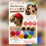 わんこの名前入り帽子