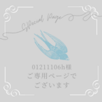01211106h様 ご専用ページでございます アップルウォッチベルト2点