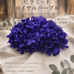 綺麗色ピラミッドパープルアジサイ小分け❣️ハンドメイド花材プリザーブドフラワー