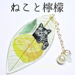 ねこと檸檬・しおり