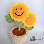 専用ページ