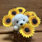 マルチーズちゃんとひまわり🌻