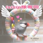 文鳥 ベッド