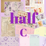 コンプリート30枚セット (half)