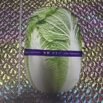 白菜バッグ🥬 リアル野菜モチーフ トートバッグ 個性的 ハンドメイド