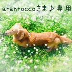 arantoccoさま♪専用