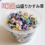 ラスト②【B級品】山盛りかすみ草のドライフラワー