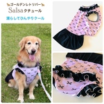 大型犬 濡らしてひんやりクール🎀