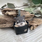 つれてって！アカワウソストラップ