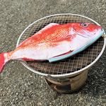 鯛ポーチ🎣