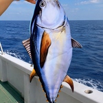 マグロのサコッシュ🍣