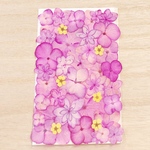 【押し花 素材】ピンク系アジサイセット13