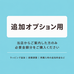 追加オプション用