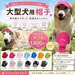 大型犬用帽子