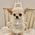 《バースデークラウン×スタイset｜バースデー》ペットクラウン　誕生日　1歳　バースデーハット　犬　わんちゃん　愛犬　うちの子グッズ　ギフト　ビブ　ケープ　帽子