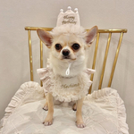 《バースデークラウン×スタイset｜バースデー》ペットクラウン　誕生日　1歳　バースデーハット　犬　わんちゃん　愛犬　うちの子グッズ　ギフト　ビブ　ケープ　帽子