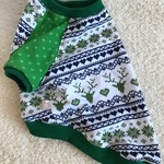 ノルディックなラグランTシャツ