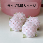 6/25　sayaya.o様専用ページ ライブご購入品