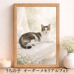 ペット遺影 メモリアルフォト｜犬 猫 ハムスター ウサギ ハリネズミ 小動物 ペット 写真から作る うちの子オーダー 虹の橋 供養 お悔やみ ギフト ペット仏壇 写真加工