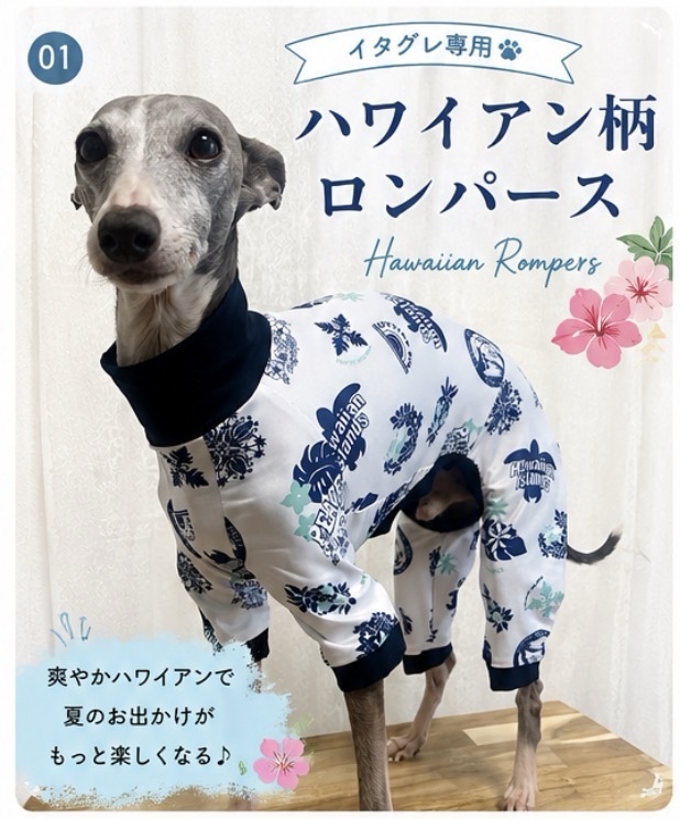 イタグレ服 - ウェアの人気通販 | minne byGMOペパボ 国内最大級の