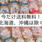 【送料無料】お任せメレンゲ8個セット(ほかの商品との同梱は不可です）